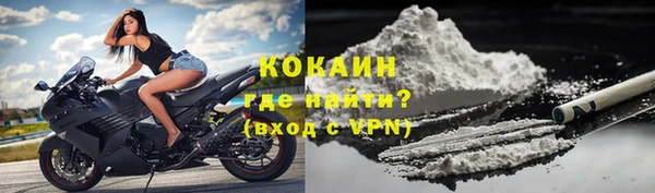 твердый Абаза