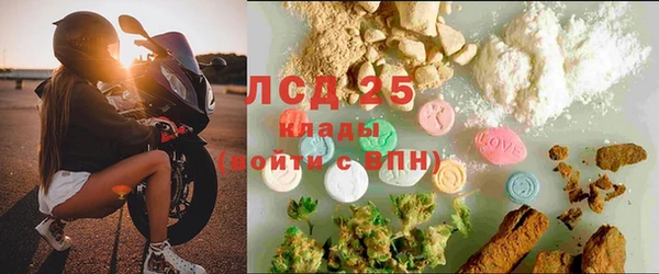 твердый Абаза
