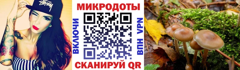 как найти закладки Ряжск omg маркетплейс Псилоцибиновые грибы Cubensis